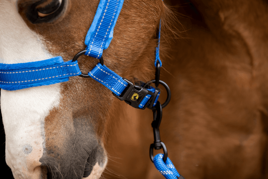 Excellent Superior Halster Blauw XS - Comfortabel en veilig voor uw paard - afbeelding 4
