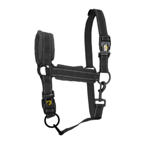Excellent Superior Halster Zwart XS - Comfortabel en veilig voor uw paard