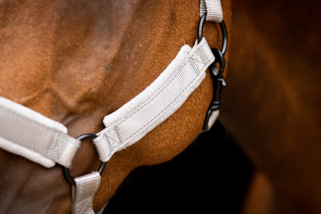 Excellent Superior Halster Grijs XS - Comfortabel en veilig voor uw paard - afbeelding 4