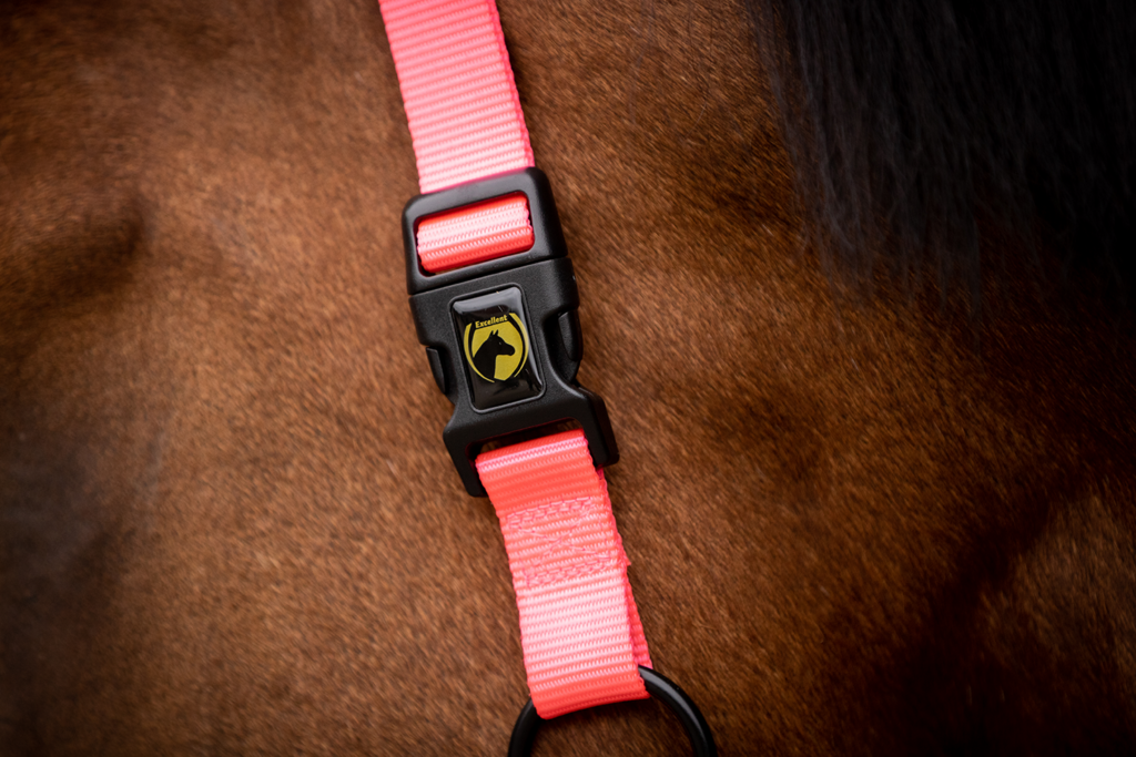 Excellent Superior Halster Roze XS - Comfortabel en veilig voor uw paard - afbeelding 4