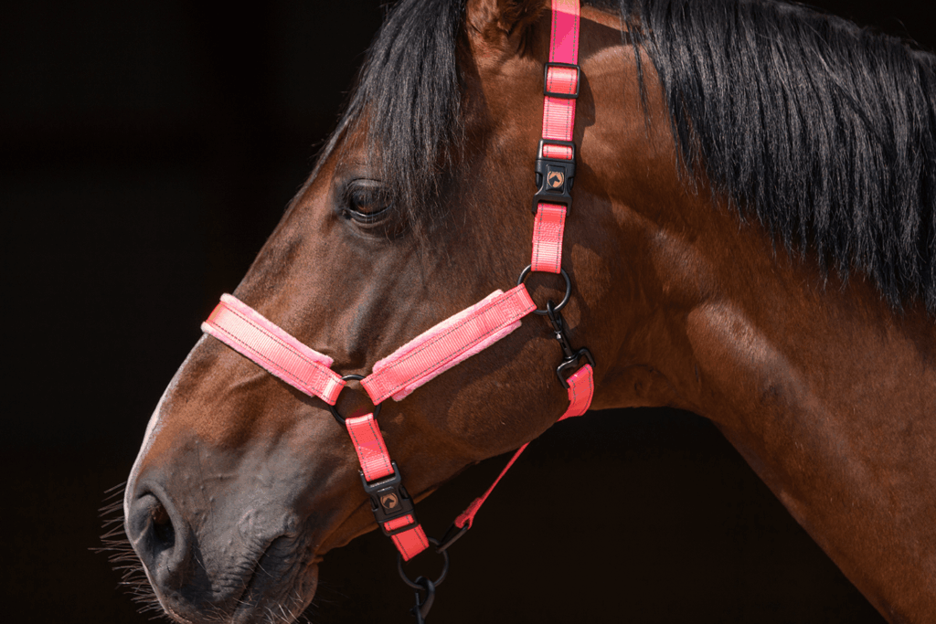 Excellent Superior Halster Roze XS - Comfortabel en veilig voor uw paard - afbeelding 3