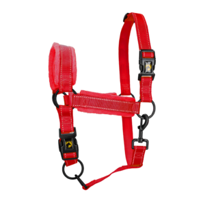 Excellent Superior Halster Rood S - Comfortabel en Veilig voor Paarden