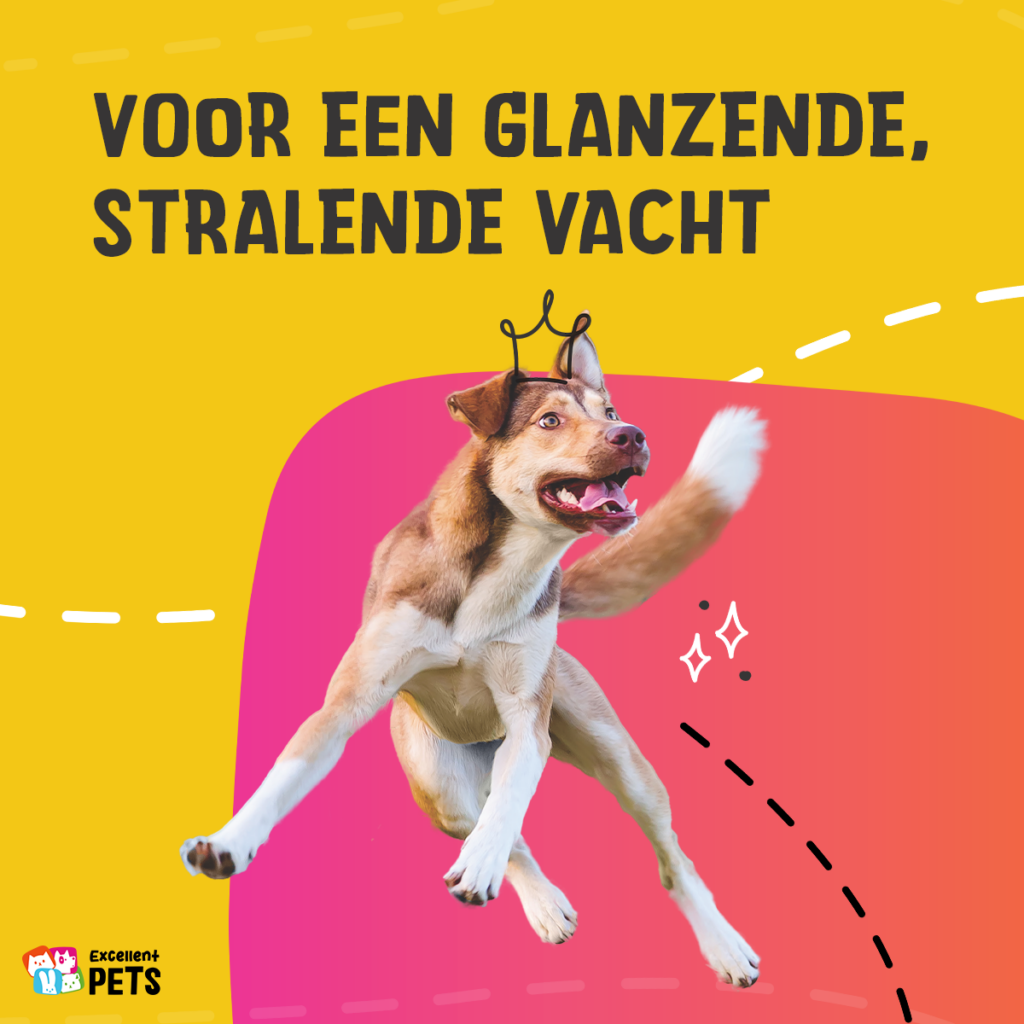 Excellent Pets HempOne Oil 20 ml - Huidverzorging voor Honden en Katten - afbeelding 4