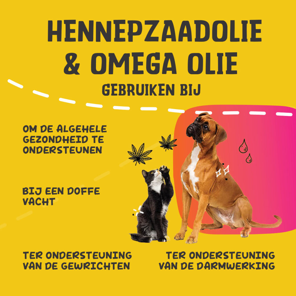 Excellent Pets HempOne + Omega Oil 250 ml voor honden en katten - afbeelding 6