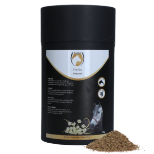 Excellent Horse Herbs Anijszaad 1 kg - Ondersteuning voor Spijsvertering