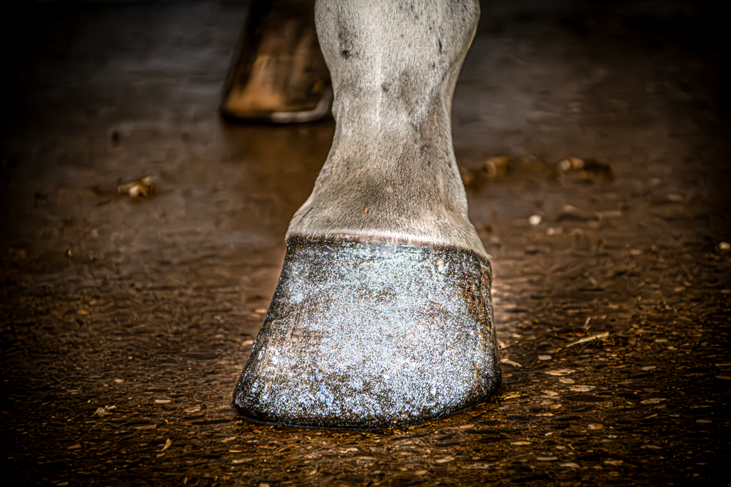 Excellent Horse Hi Gloss Glitter Hoof Polish Silver 150 ml - afbeelding 2