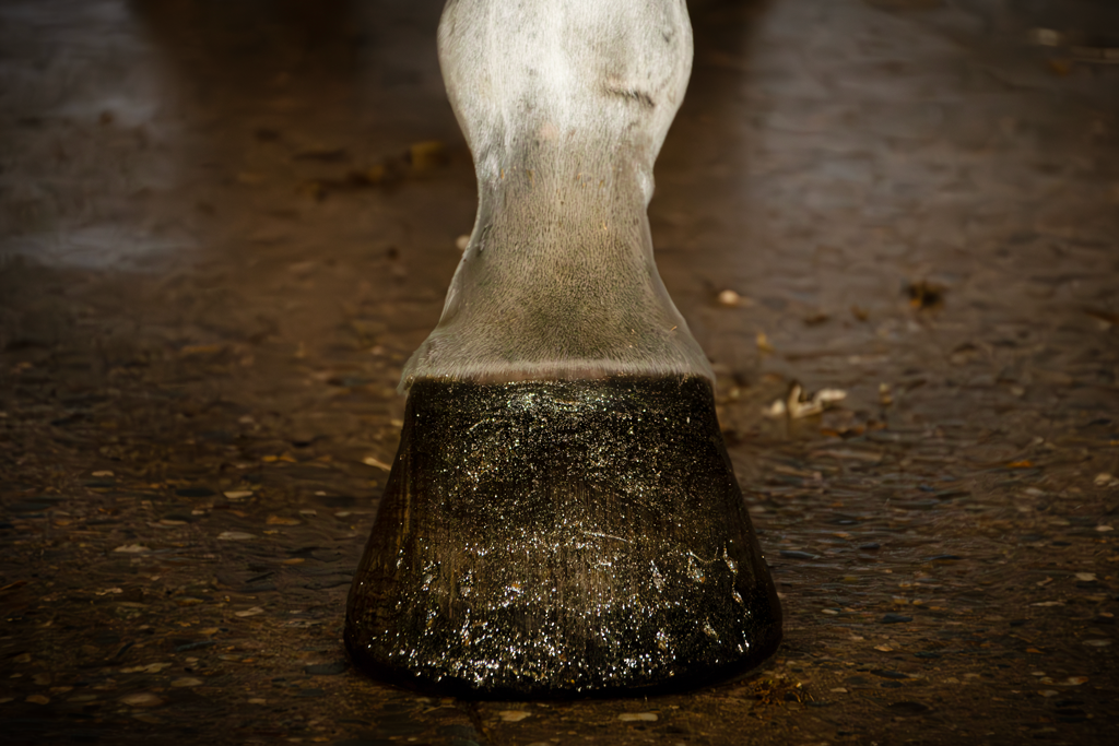 Excellent Horse Hi Gloss Glitter Hoof Polish Gold 150 ml - afbeelding 2