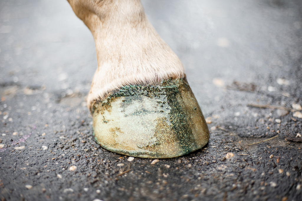 Excellent Horse Hi Gloss Glitter Hoof Polish Green 150 ml - afbeelding 3