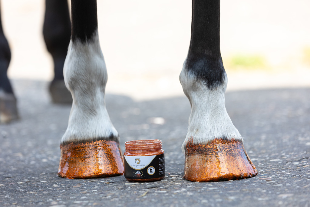 Excellent Horse Hi Gloss Glitter Hoof Polish Orange 150 ml - afbeelding 3