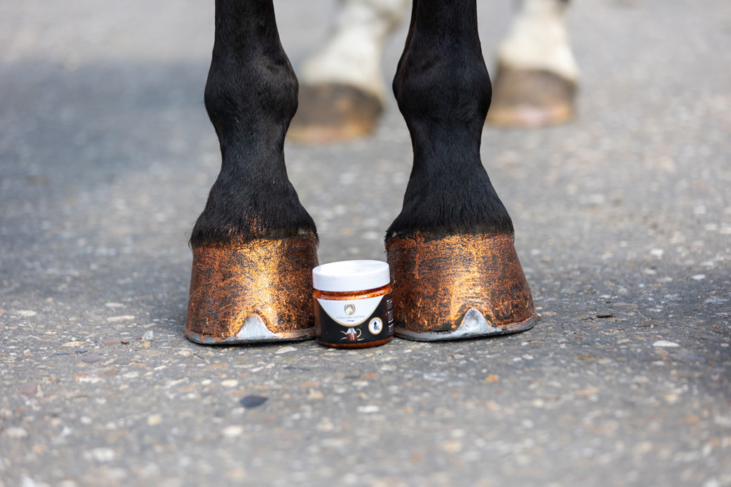 Excellent Horse Hi Gloss Glitter Hoof Polish Orange 150 ml - afbeelding 2