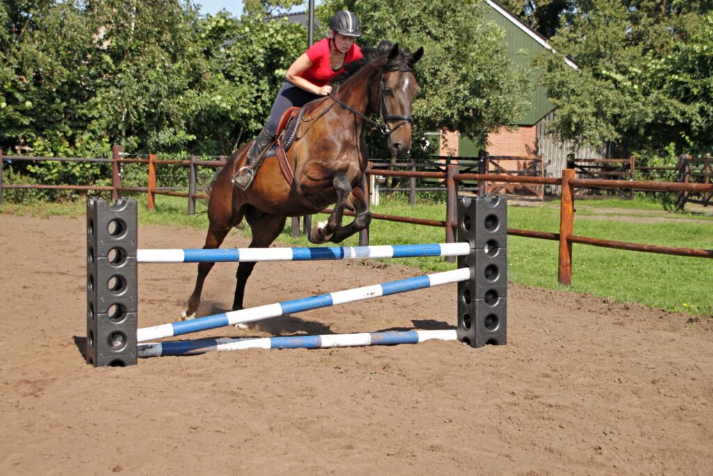 Excellent Horse Cube hindernisblok voor paarden en pony's - afbeelding 3