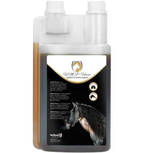 Excellent Horse H.M.P. Liquid 1 l - Ondersteuning Luchtwegen Paarden