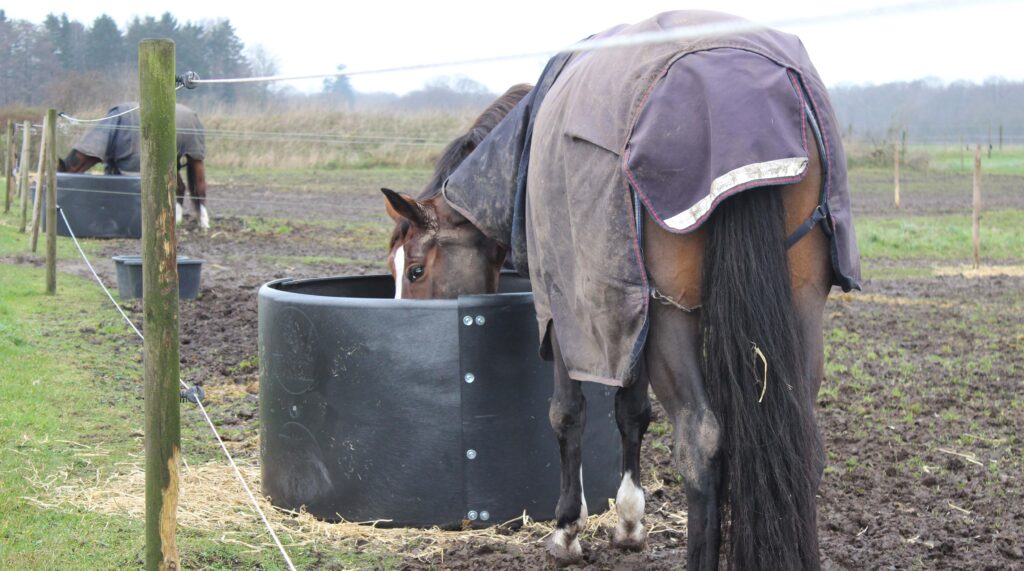 OK Plast Hooi Ring Feeder ø 124-128 cm voor Paard - afbeelding 1
