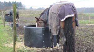 OK Plast Hooi Ring Feeder ø 124-128 cm voor Paard