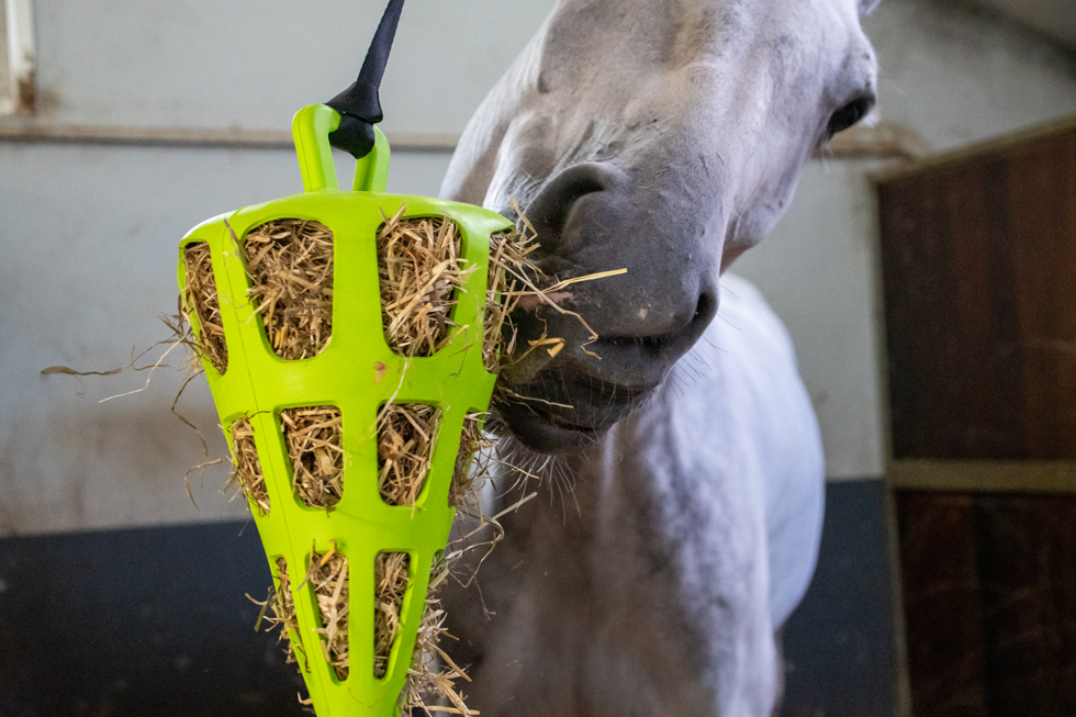 Hay Slow Feeder Fun & Flex Carrot Groen - Langzaam Voeren voor Paarden - afbeelding 3