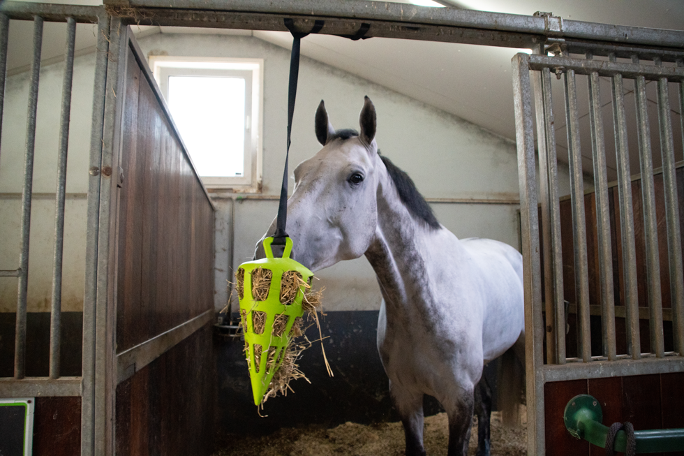 Hay Slow Feeder Fun & Flex Carrot Groen - Langzaam Voeren voor Paarden - afbeelding 4