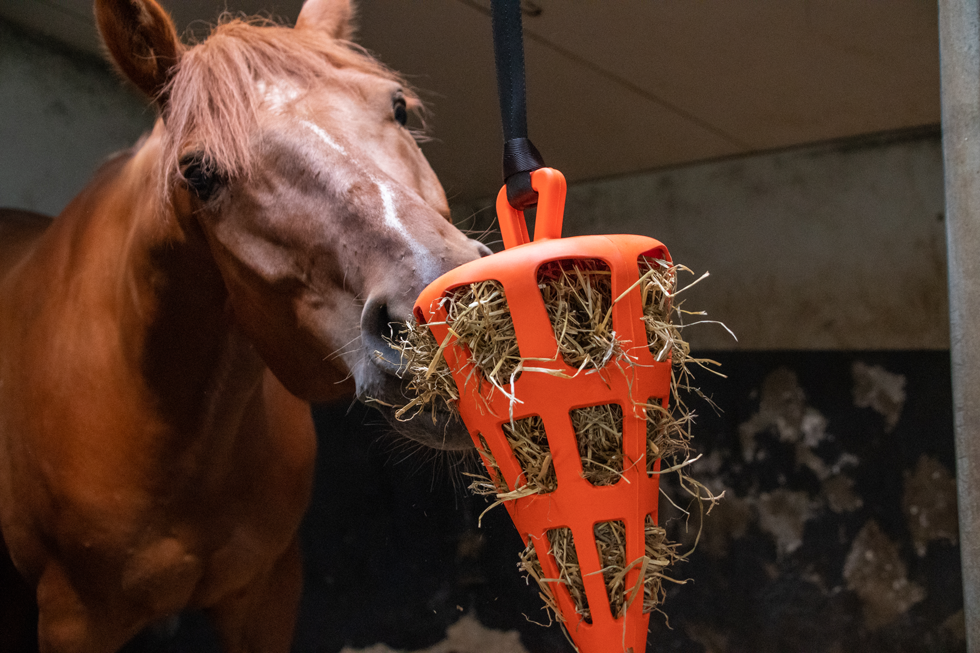 Hay Slow Feeder Fun & Flex Carrot Oranje - Langzaam Voeren voor Paarden - afbeelding 3