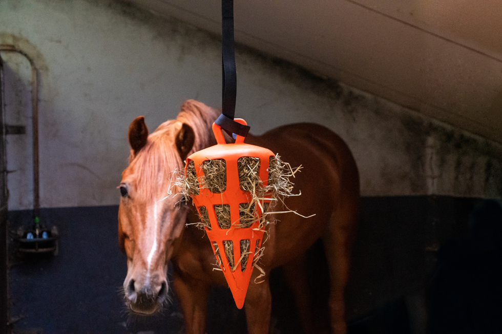Hay Slow Feeder Fun & Flex Carrot Oranje - Langzaam Voeren voor Paarden - afbeelding 4