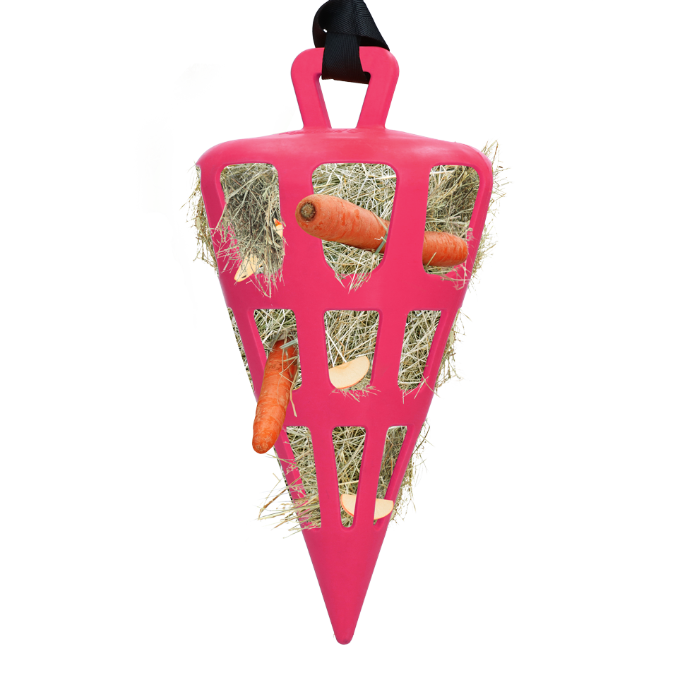 Hay Slow Feeder Fun & Flex Carrot Roze - afbeelding 1