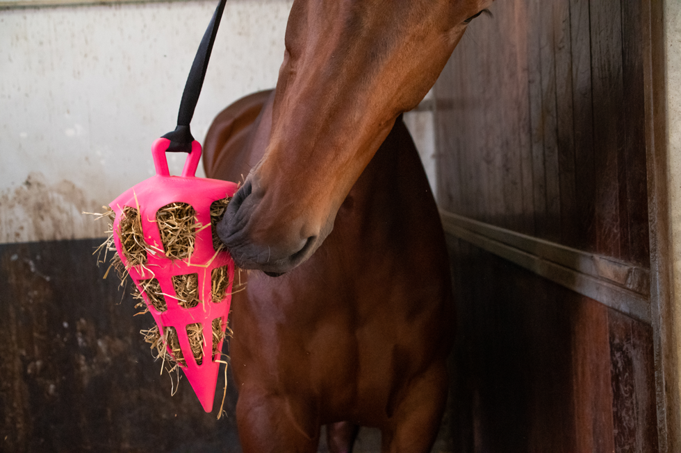 Hay Slow Feeder Fun & Flex Carrot Roze - afbeelding 3