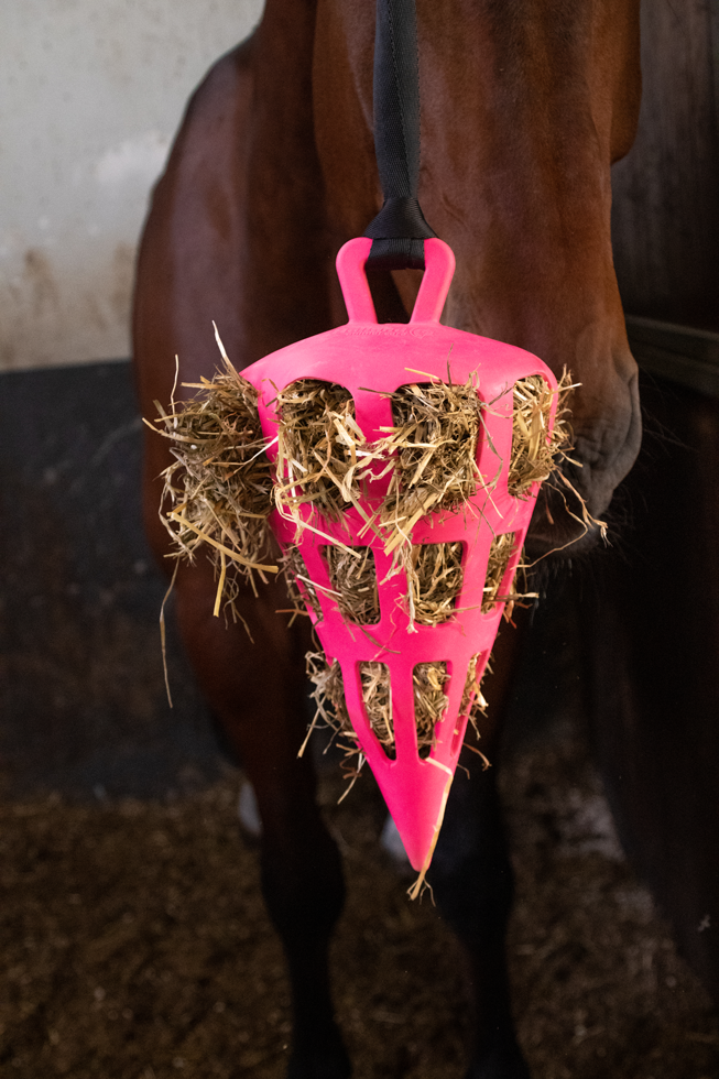 Hay Slow Feeder Fun & Flex Carrot Roze - afbeelding 4
