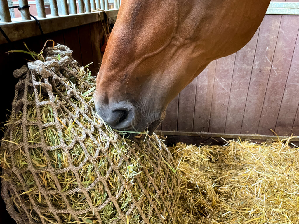 Hay Slow Feeder Net 2,5 kg (45 mm) - Hooinet voor Paarden - afbeelding 5