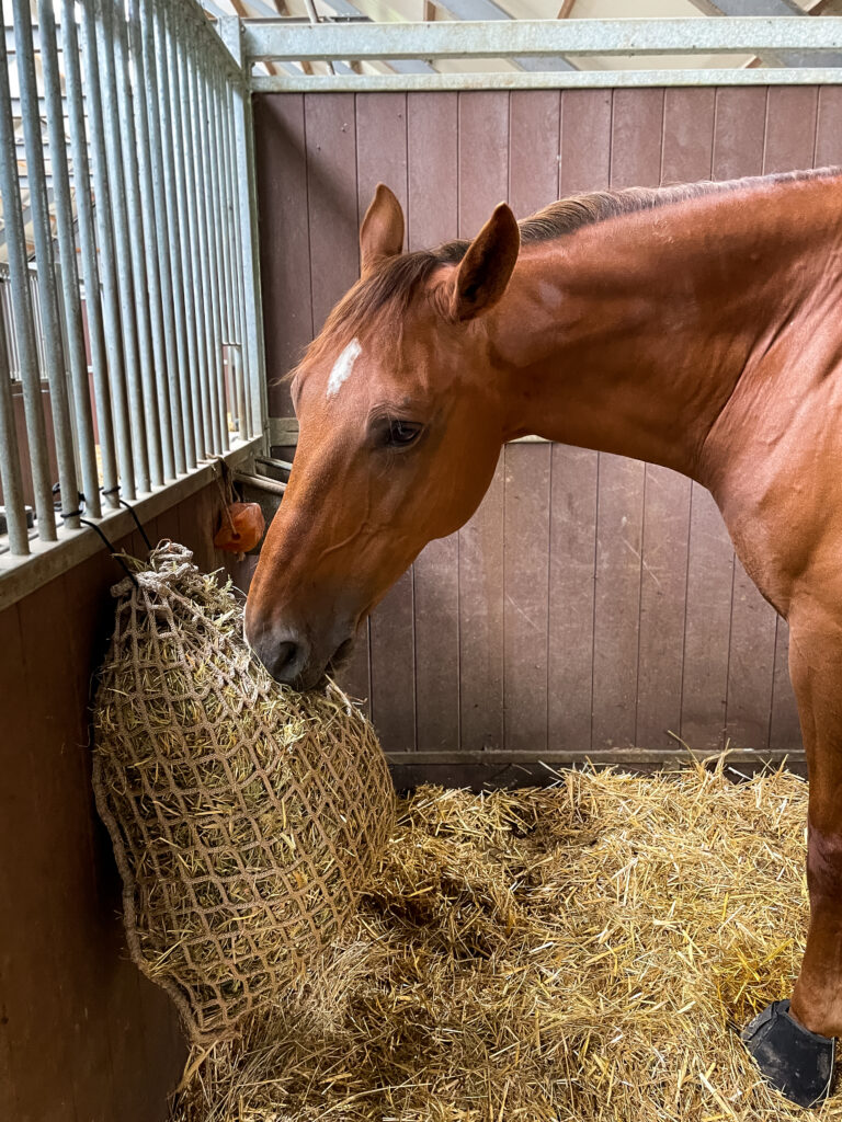 Hay Slow Feeder Net 2,5 kg (45 mm) - Hooinet voor Paarden - afbeelding 6