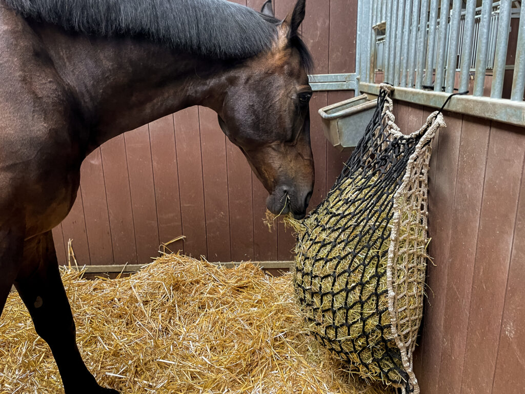 Hay Slow Feeder Net 10 kg (60/45 mm) - Hooinet voor Paarden - afbeelding 3