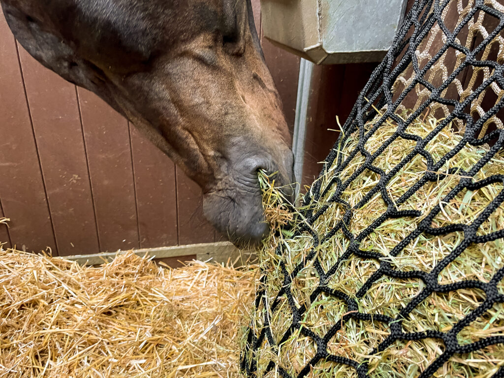 Hay Slow Feeder Net 10 kg (60/45 mm) - Hooinet voor Paarden - afbeelding 4