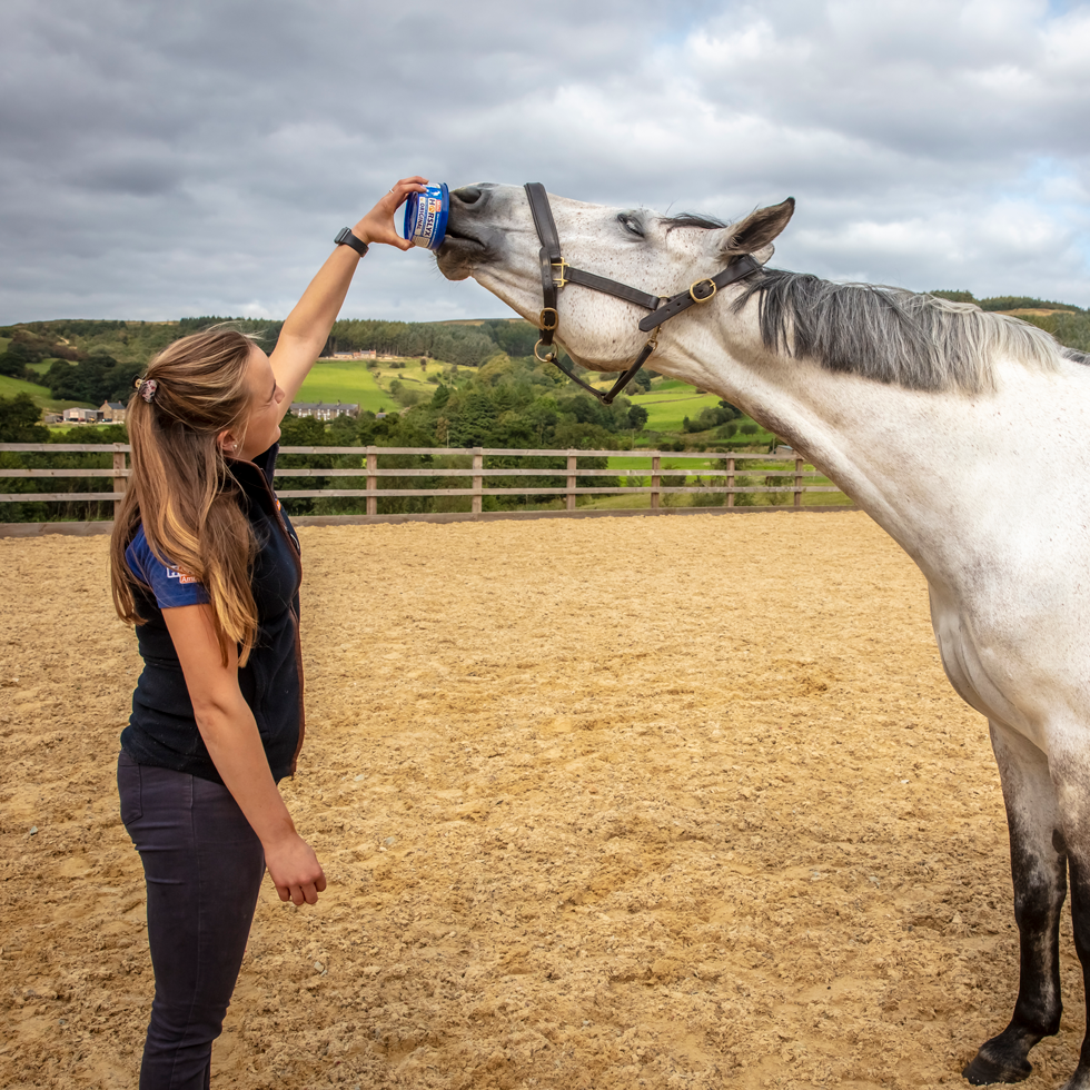 Horslyx Mini Original Liksteen voor Paarden - 650 g - afbeelding 3