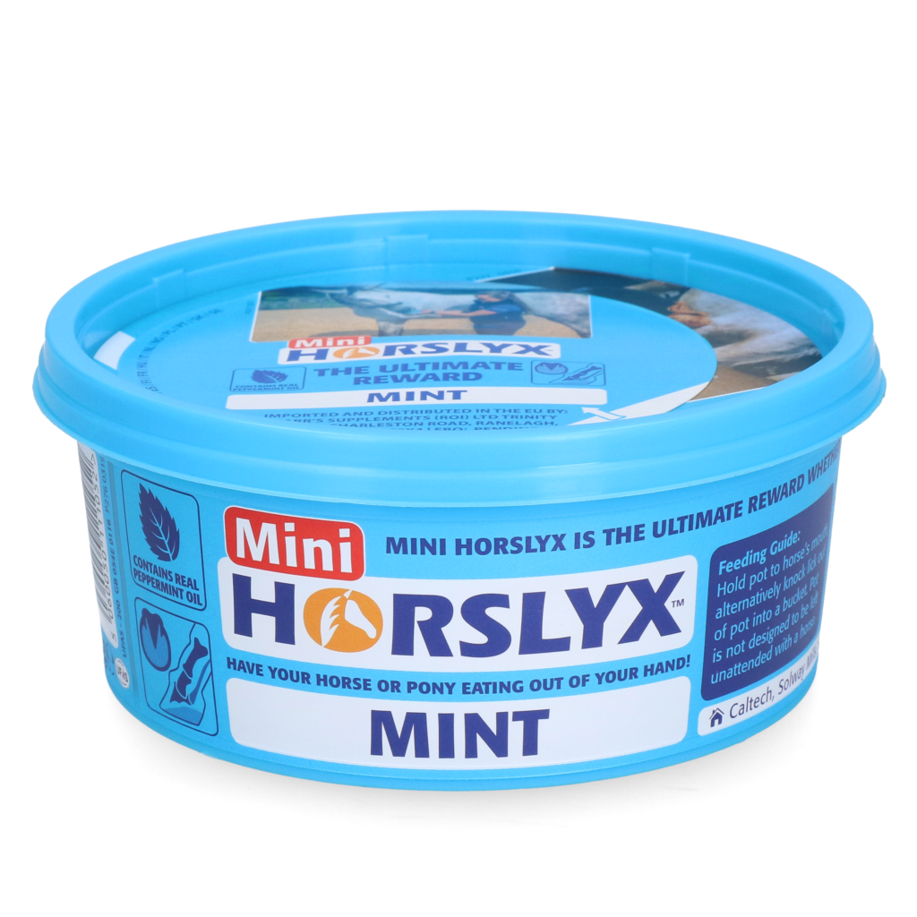 Horslyx Mini Mint 650 g - Smakelijke Liksteen voor Paarden - afbeelding 1