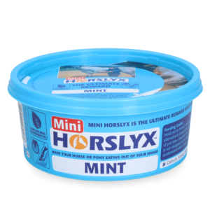 Horslyx Mini Mint 650 g - Smakelijke Liksteen voor Paarden