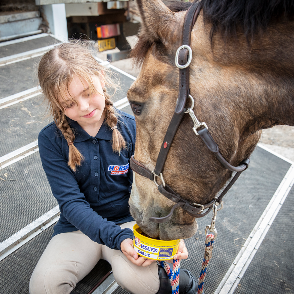 Horslyx Mini Knoflook 650 g - Smakelijke Liksteen voor Paarden - afbeelding 2