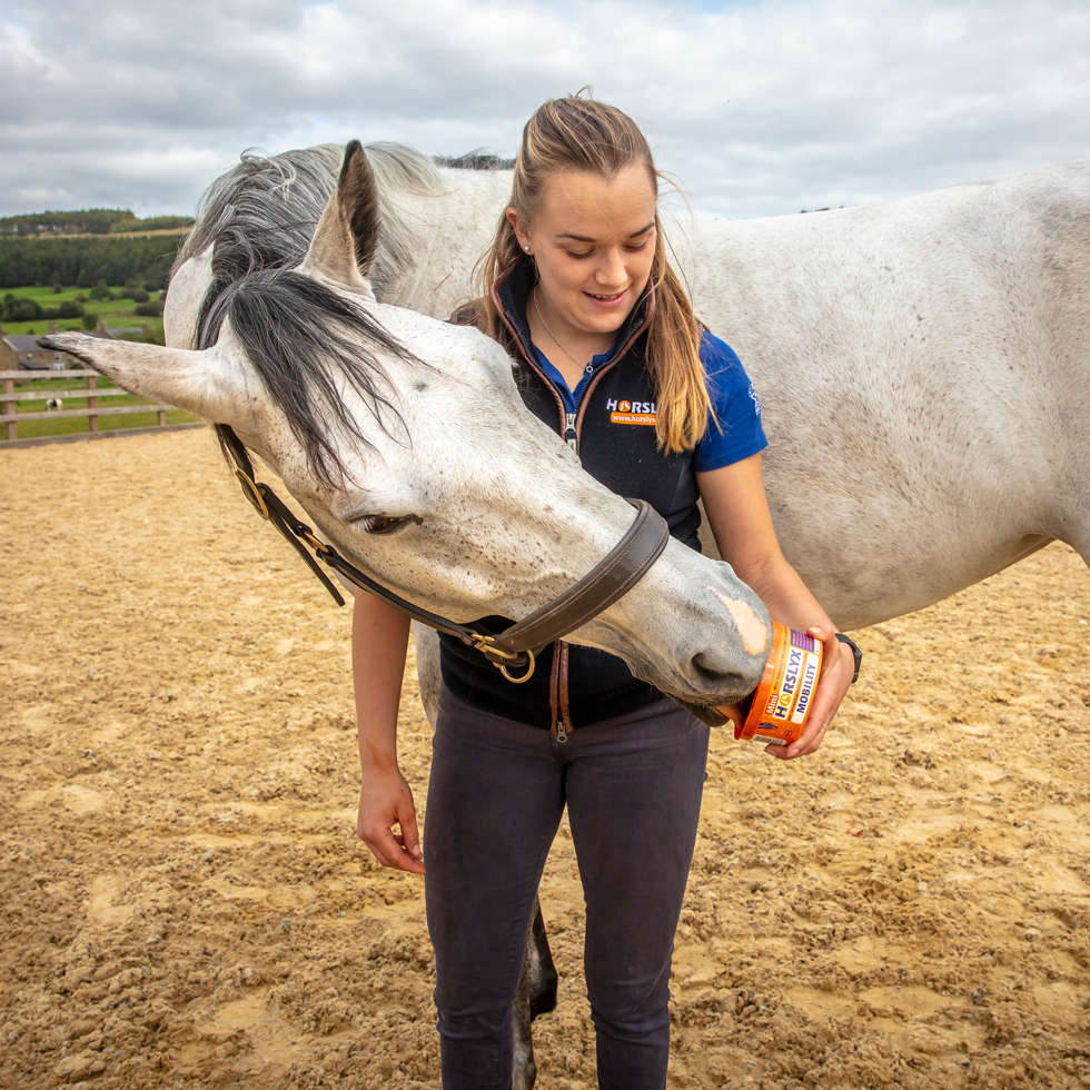 Horslyx Mini Mobiliteit 650 g - Smakelijke Liksteen voor Paarden - afbeelding 3