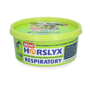 Horslyx Mini Luchtwegen Liksteen voor Paarden - 650 g