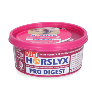 Horslyx Mini Spijsvertering Liksteen 650 g voor Paarden