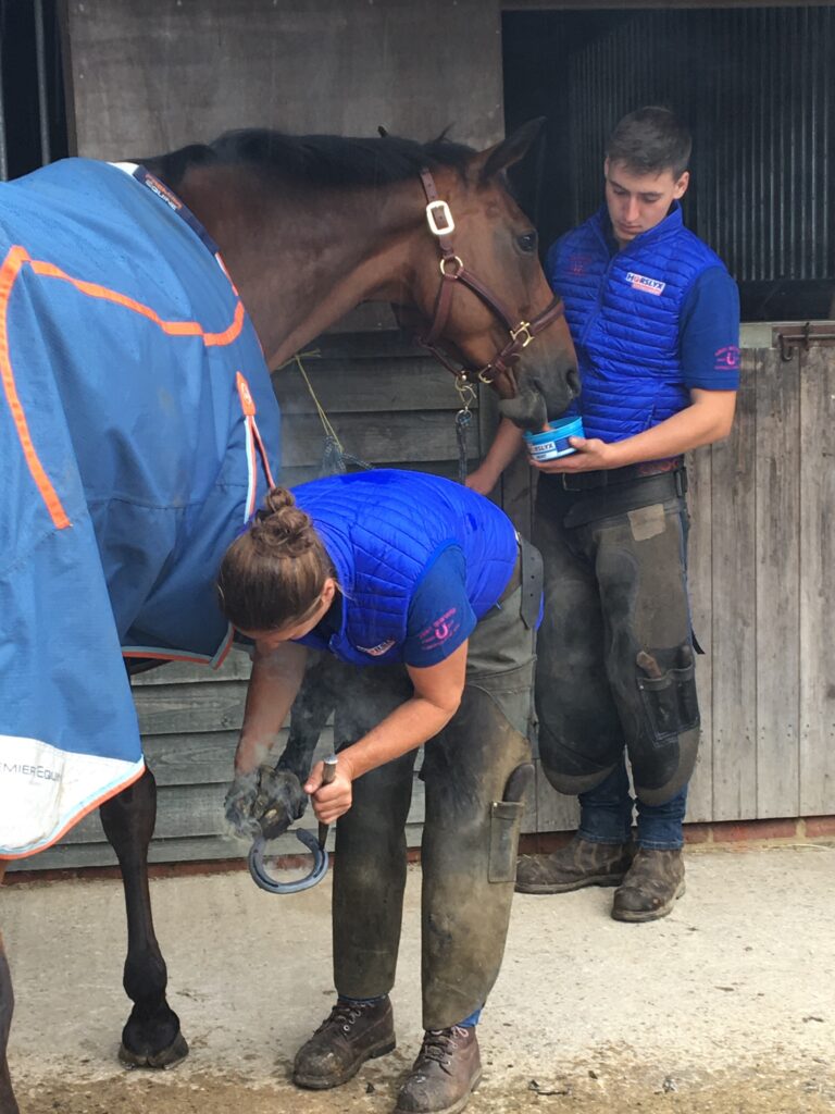 Horslyx Mini Spijsvertering Liksteen 650 g voor Paarden - afbeelding 3