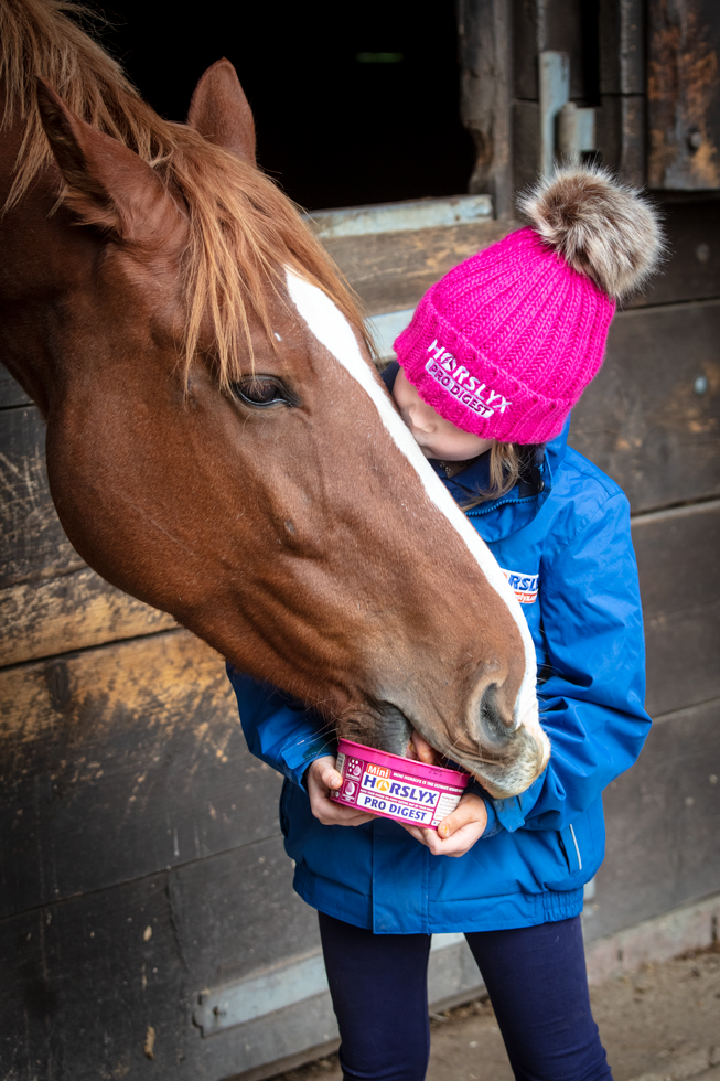 Horslyx Mini Spijsvertering Liksteen 650 g voor Paarden - afbeelding 2