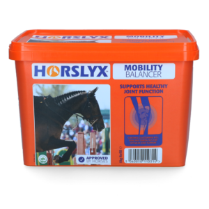 Horslyx 5 kilo Mobility liksteen voor paarden