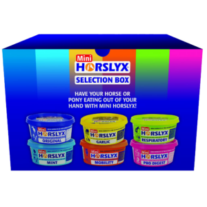 Horslyx Mini Selection Box 6 x 650 g - Smakelijke Likstenen voor Paarden