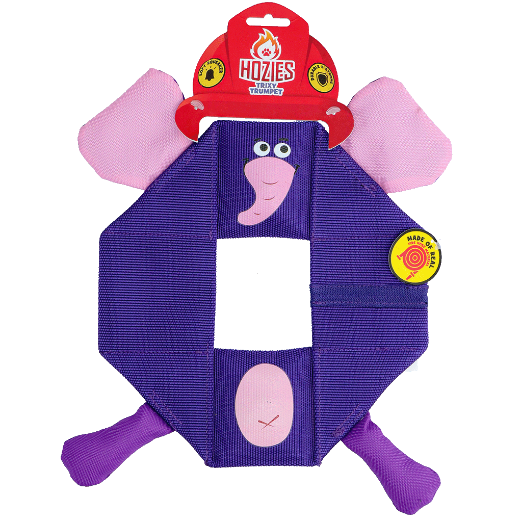 Hozies Octagon Trixy Trumpet - Achthoekig Speelgoed voor Honden - afbeelding 1