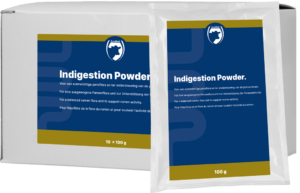 Excellent Indigestie Poeder 10 x 100 g - Rumenpoeder voor Herkauwers