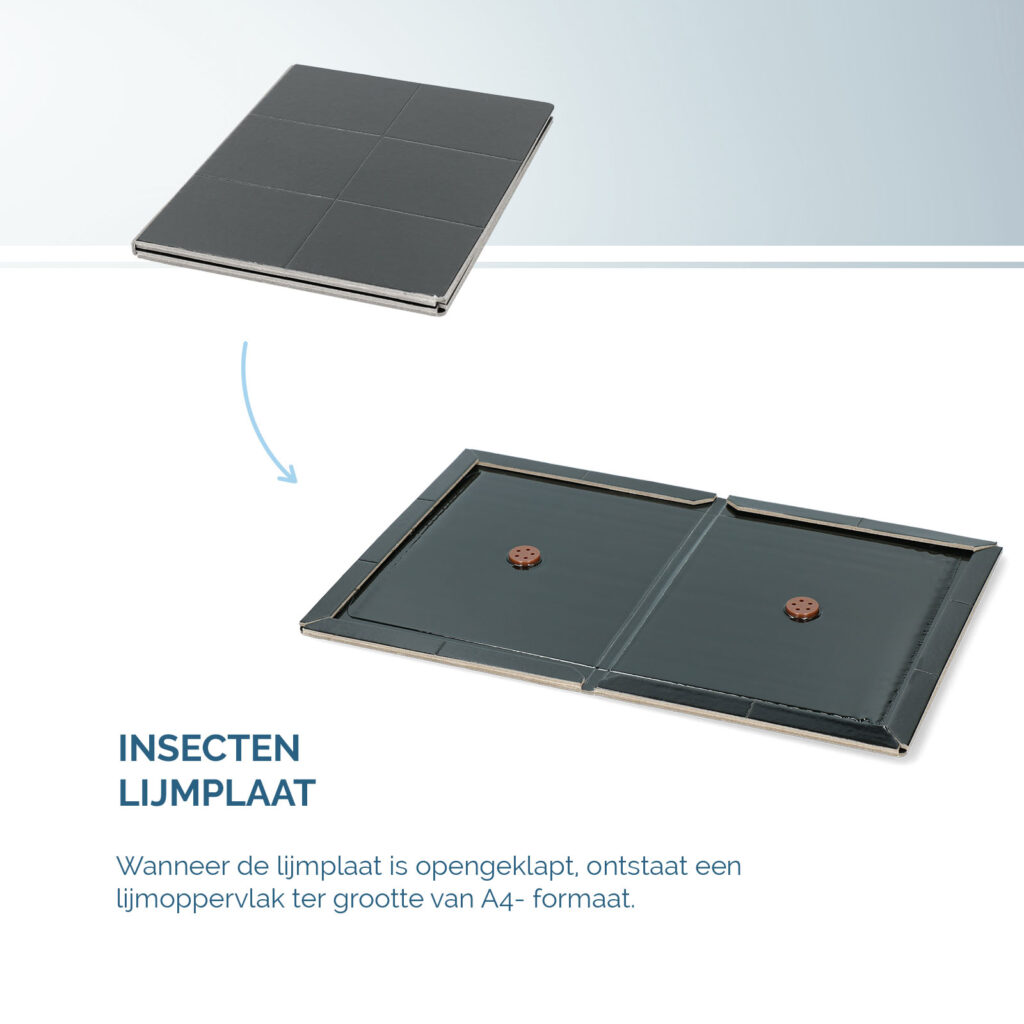Insecten Lijmplaat Zwart - Hofman Pest Control - afbeelding 4