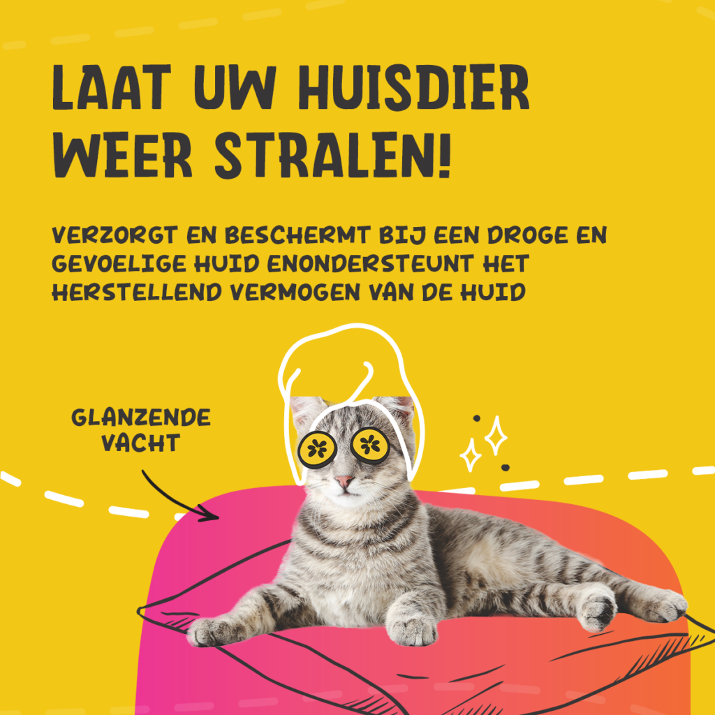 Excellent Pets Itch Stop Feed 250 ml - Huid- en vachtverzorging voor honden en katten - afbeelding 4