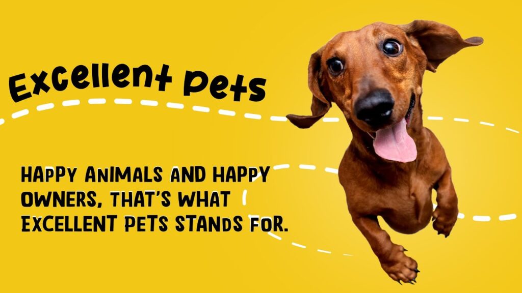 Excellent Pets Skin & Coat Soft Chews 120 Treats voor Honden - afbeelding 3