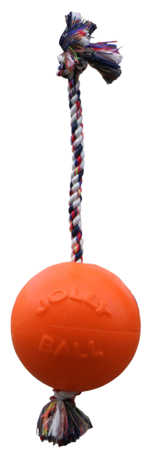 Jolly Pets Jolly Romp-n-Roll Vanille L (20 cm) - Speelgoed voor Honden