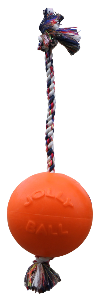 Jolly Pets Jolly Romp-n-Roll Vanille L (20 cm) - Speelgoed voor Honden - afbeelding 1