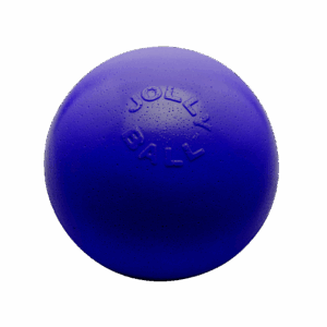 Jolly Bounce-n Play Blauw M (15 cm) - Stuiterbal voor honden