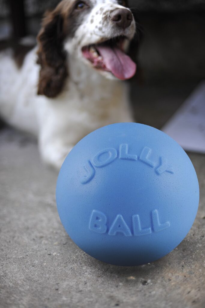 Jolly Bounce-n Play Bosbessen L - Stuiterbal voor Honden (20 cm) - afbeelding 4