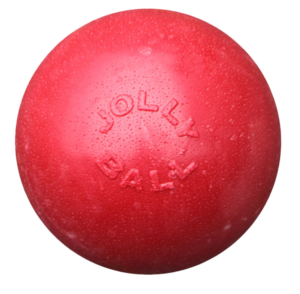 Jolly Bounce-n Play Rood L - Stuiterbal voor Honden (20 cm)